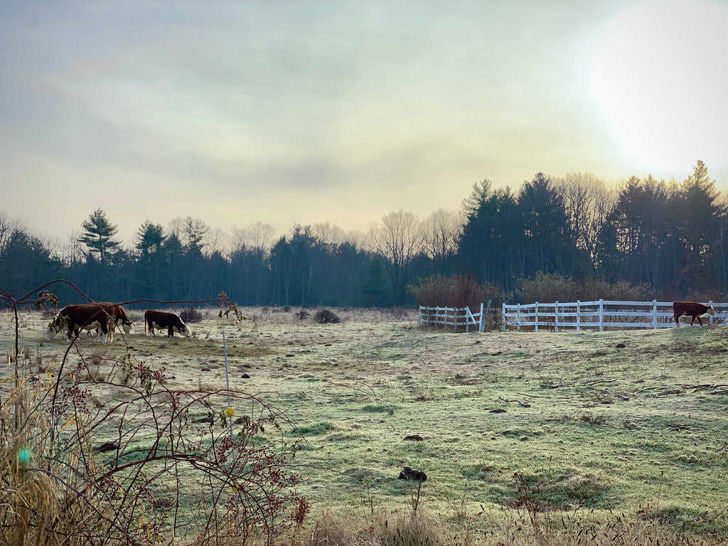 Sweet Hill Farm