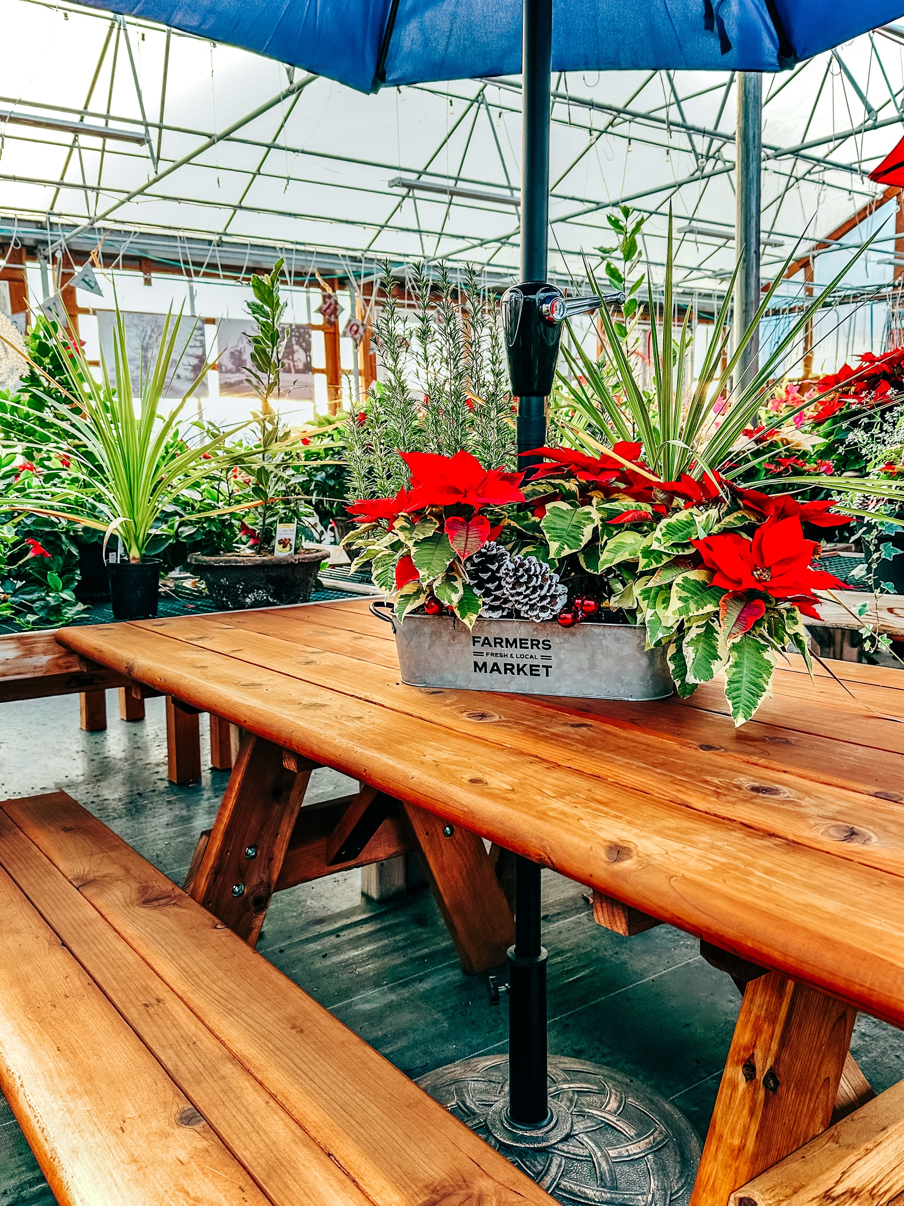 Catering Menu & Information