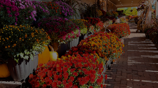 Flower Festival at Sweet Hill Farm - May 2nd